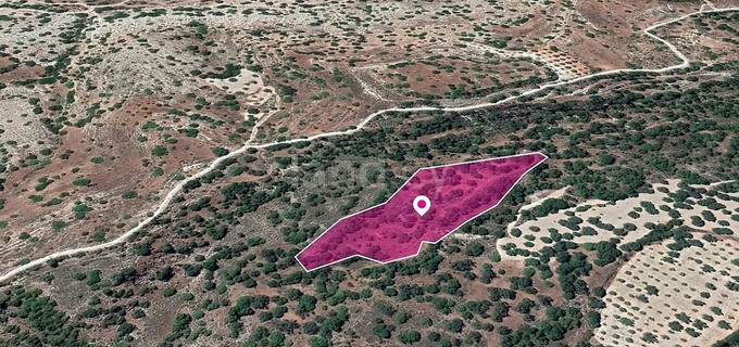Campo a la venta en Paphos
