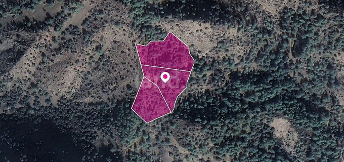 Αγροτεμάχιο προς πώληση - Λεμεσός