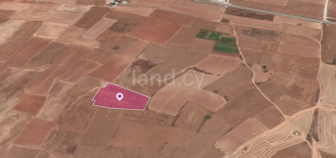 Campo a la venta en Nicosia