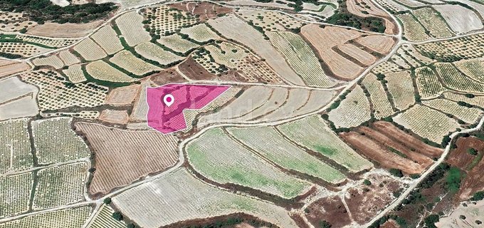 Field for sale in Paphos