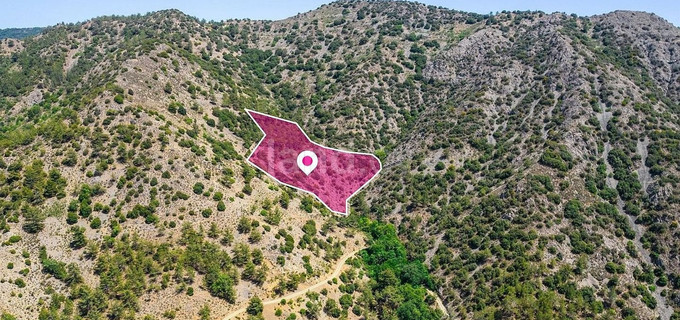 Fält till salu i Limassol