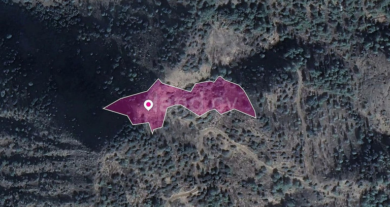 Field for sale in Limassol