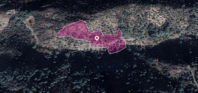 Αγροτεμάχιο προς πώληση - Λεμεσός