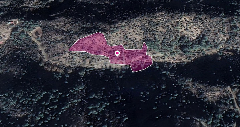 Field for sale in Limassol