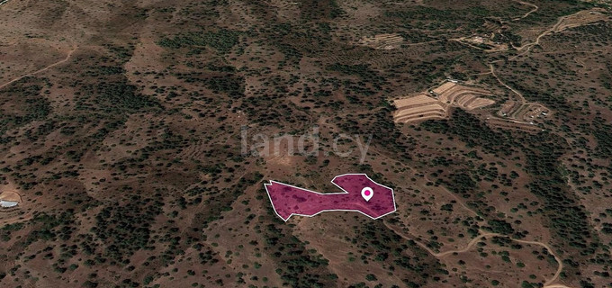 Οικόπεδο προς πώληση - Λευκωσία