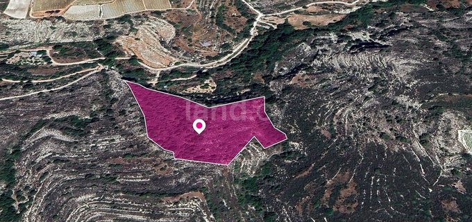 Field for sale in Limassol