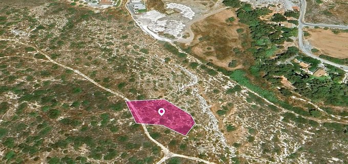 Field for sale in Limassol