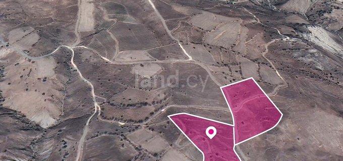 Field for sale in Paphos