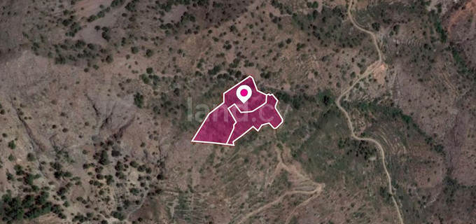 Field for sale in Nicosia