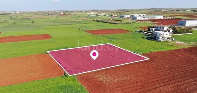 Field for sale in Nicosia