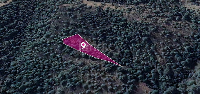 Field for sale in Nicosia