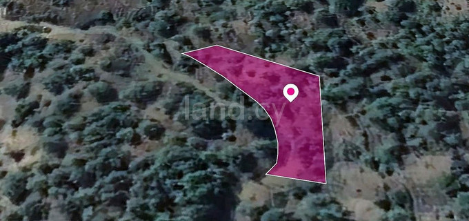 Field for sale in Nicosia