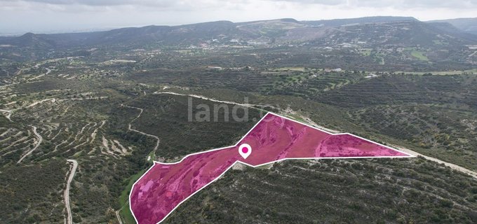 Field for sale in Limassol