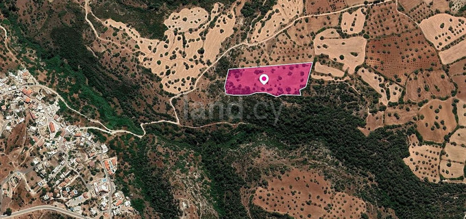 Field for sale in Paphos