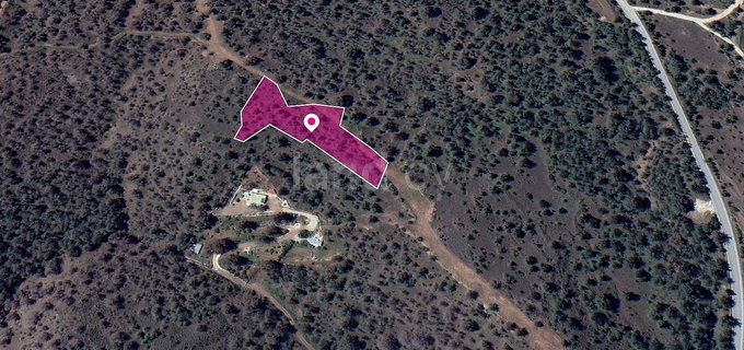 Field for sale in Nicosia