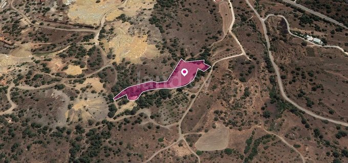 Field for sale in Nicosia