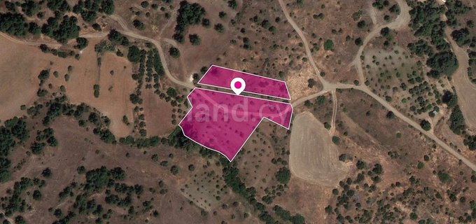 Field for sale in Nicosia