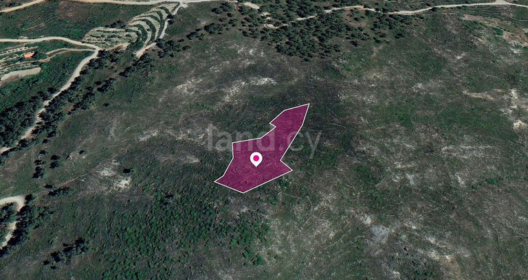 Field for sale in Limassol