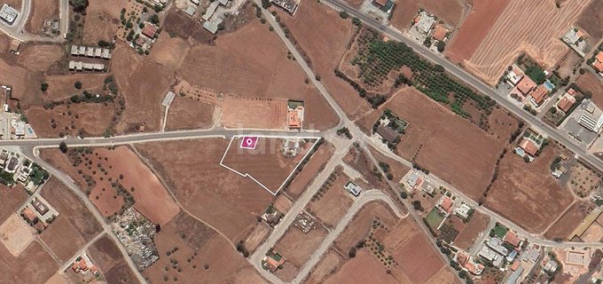 Fält till salu i Nicosia
