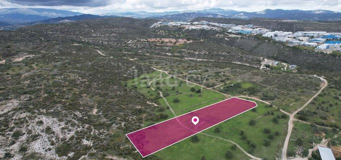 Field for sale in Limassol