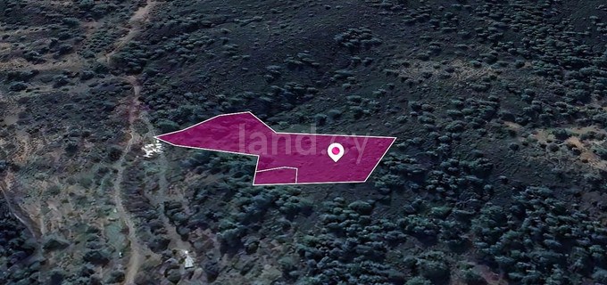 Field for sale in Nicosia