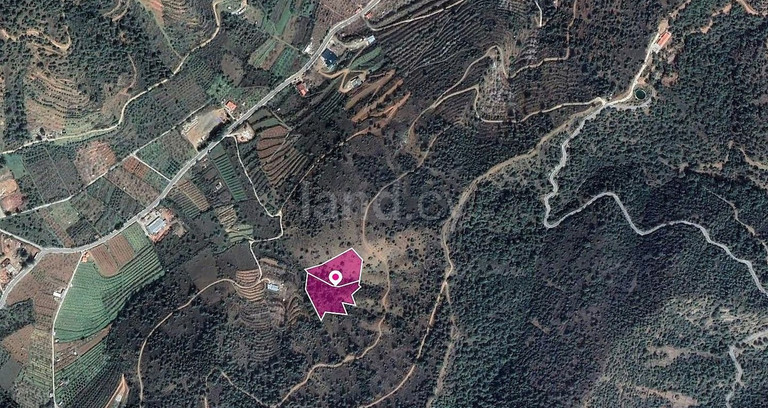 Αγροτεμάχιο προς πώληση - Λευκωσία