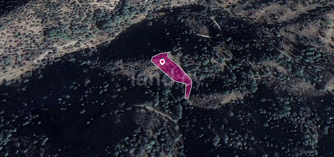 Αγροτεμάχιο προς πώληση - Λεμεσός