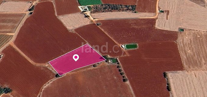 Grundstück in Sotira zu verkaufen