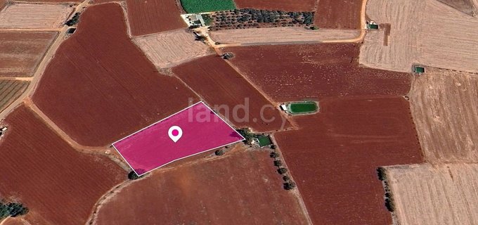 Plot for sale in Sotira