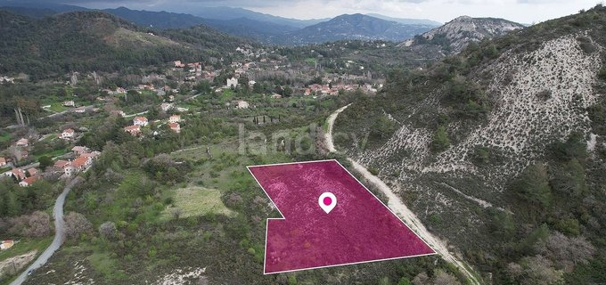 Field for sale in Limassol