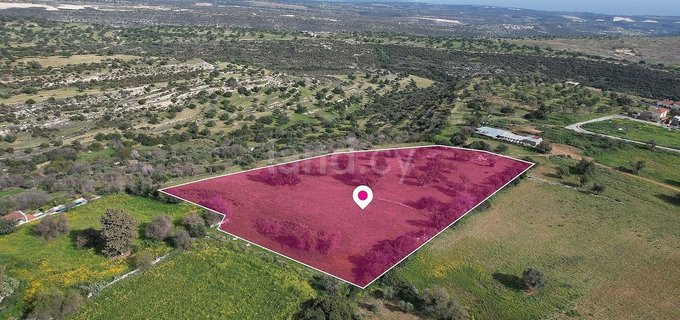 Field for sale in Limassol