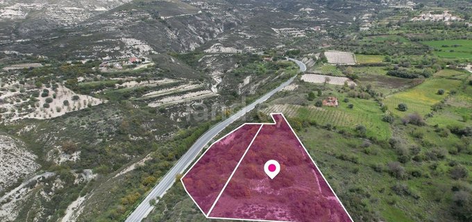 Field for sale in Limassol