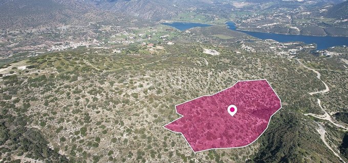 Campo a la venta en Limassol