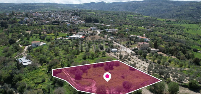 Field for sale in Paphos