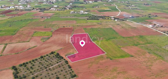 Field for sale in Nicosia