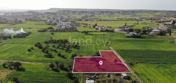 Field for sale in Nicosia