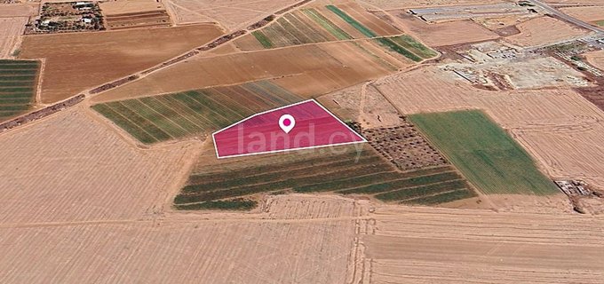 Field for sale in Larnaca