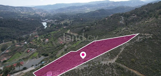 Field for sale in Limassol