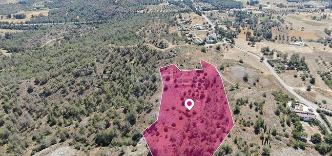 Field for sale in Nicosia