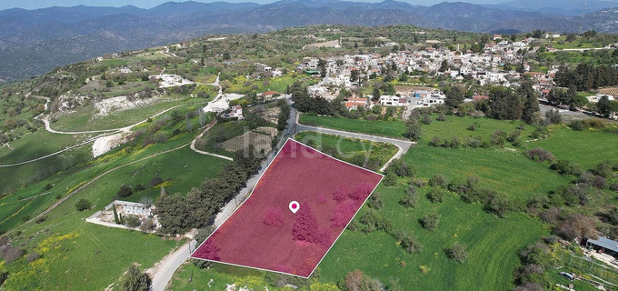 Field for sale in Paphos