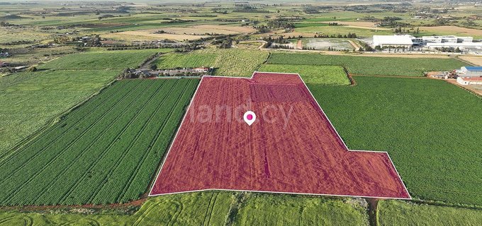 Field for sale in Avgorou