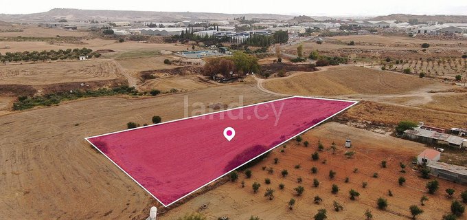 Field for sale in Nicosia