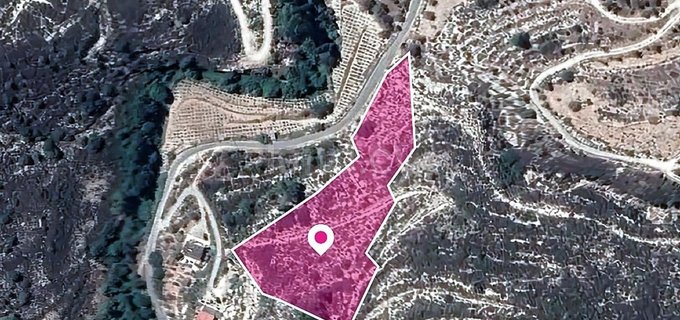 Field for sale in Limassol