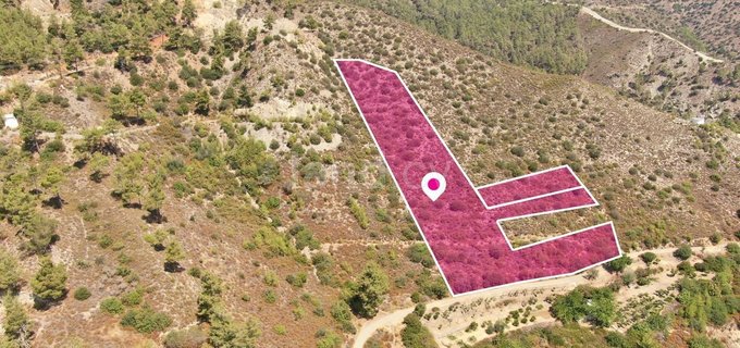 Field for sale in Limassol