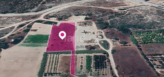 Field for sale in Limassol