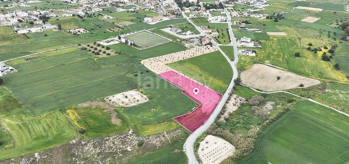 Field for sale in Larnaca