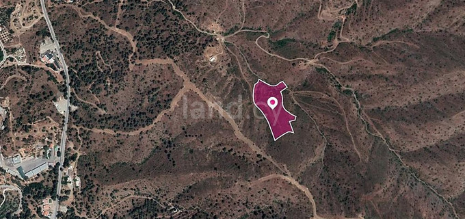 Field for sale in Nicosia