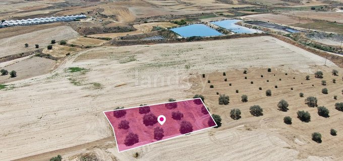 Baugebiet in Nicosia zu verkaufen