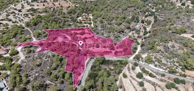 Field for sale in Limassol