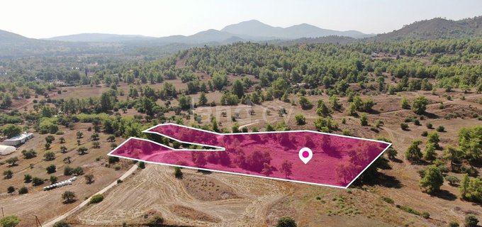 Field for sale in Nicosia